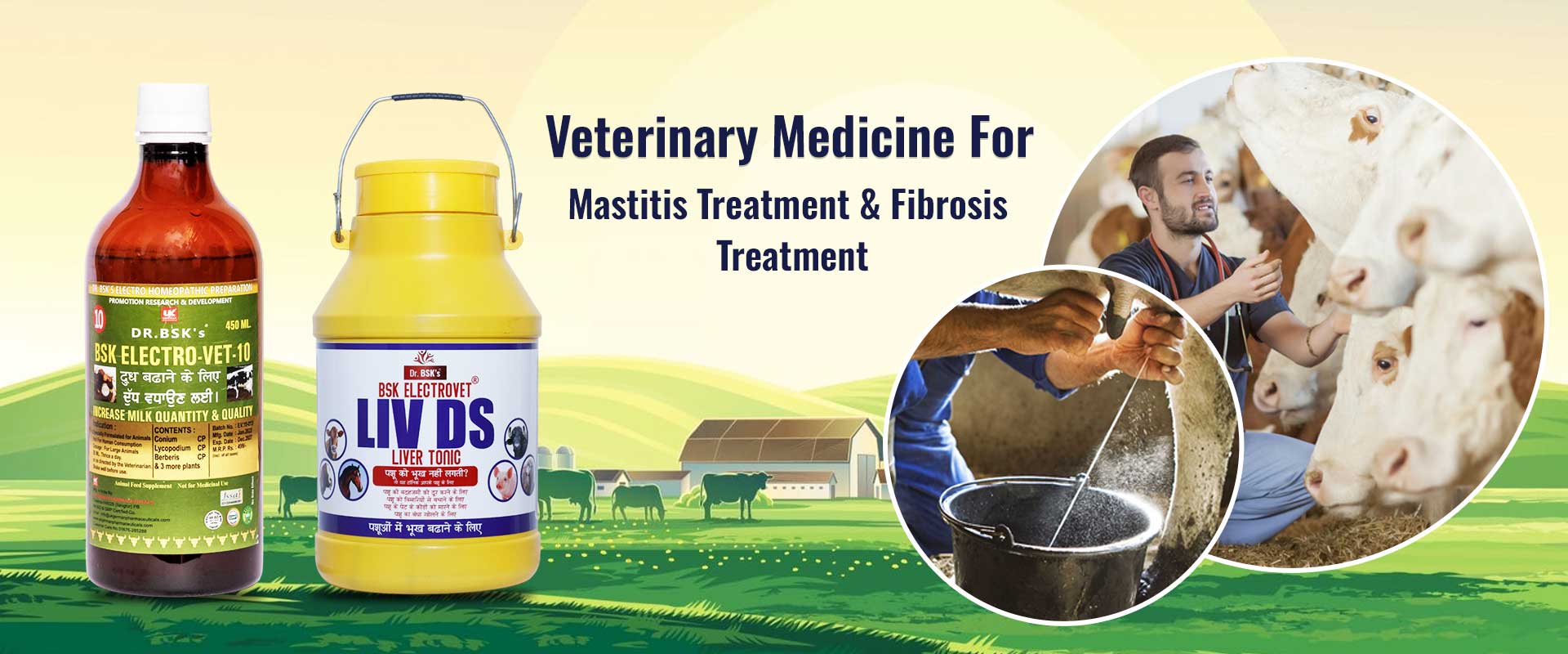 Veterinary Medicine For Mastitis Treatment and Fibrosis Treatment