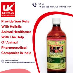Provide Your Pets With Holistic Animal Healthcare With The Help Of Animal Pharmaceutical Companies in India