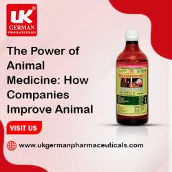 The Power of Animal Medicine: How Companies Improve Animal Health