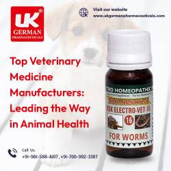 Top Veterinary Medicine Manufacturers Leading the Way in Animal Health