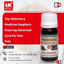 Top Veterinary Medicine Suppliers Ensuring Advanced Care for Your Pets