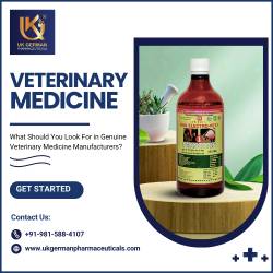 What Should You Look For in Genuine Veterinary Medicine Manufacturers