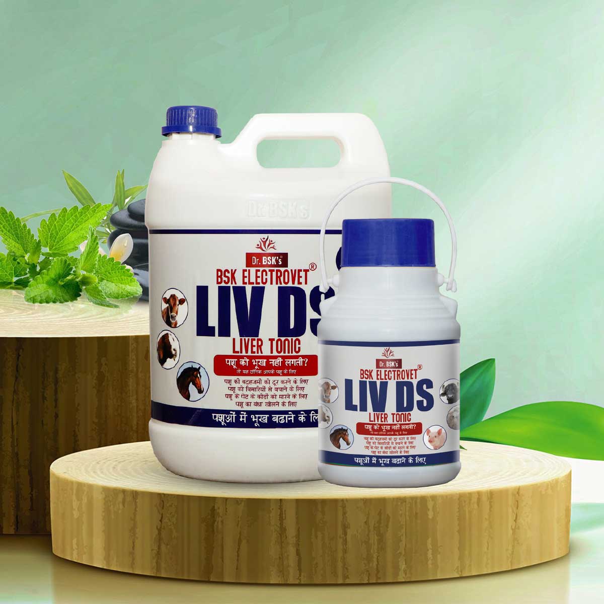 Bsk Electro Vet Liv Ds Liver Tonic Manufacturers, Suppliers in Punjab