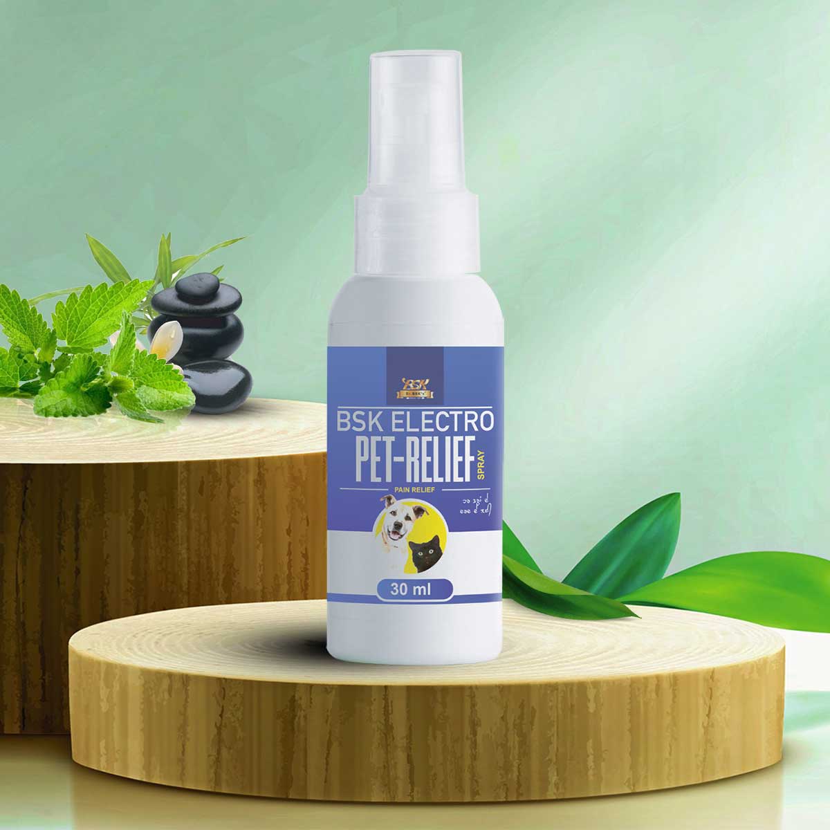 Bsk Electro Pet Relief Spray Pain Relief Manufacturers, Suppliers in Punjab